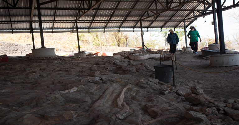 Jurassic Of thailand